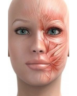 생각보다 많은 사람들이 겪고 있는 현상 | 인스티즈