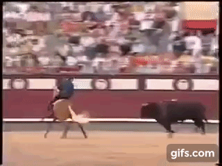 300억 이상의 명마(名馬).gif | 인스티즈