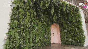 블랙핑크 리얼리티 숙소 인테리어.gif | 인스티즈