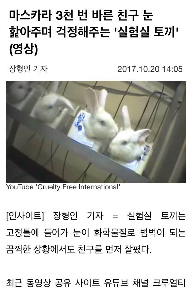 마스카라 3천 번 바른 친구 눈 핥아주며 걱정해주는 '실험실 토끼' (영상) | 인스티즈