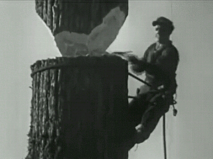 위험하게 도끼로 나무 패는 사람.gif | 인스티즈