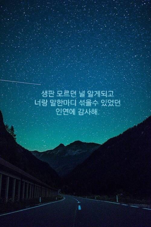 덕질하며 내새끼들에게 해주고싶은 말.글귀 털이 | 인스티즈