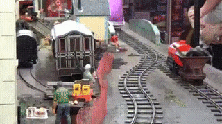 햄스터 운동시키는 법 | 인스티즈