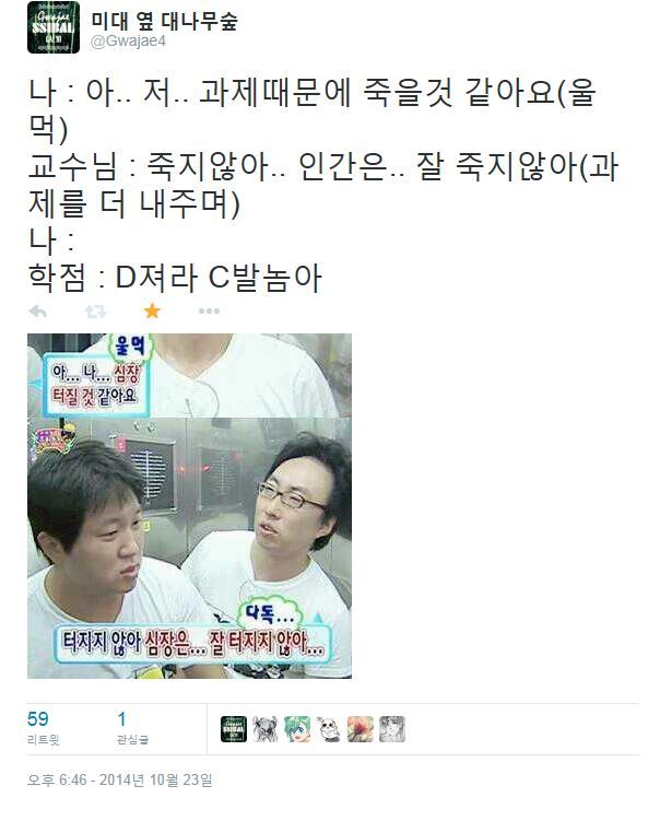 본격 미대생으로 인생 살아보기 | 인스티즈