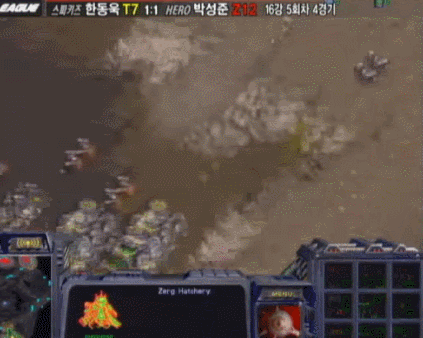 [스타1] 임요환급 심리전으로 박성준의 저그 후두려패는 한동욱.gif | 인스티즈