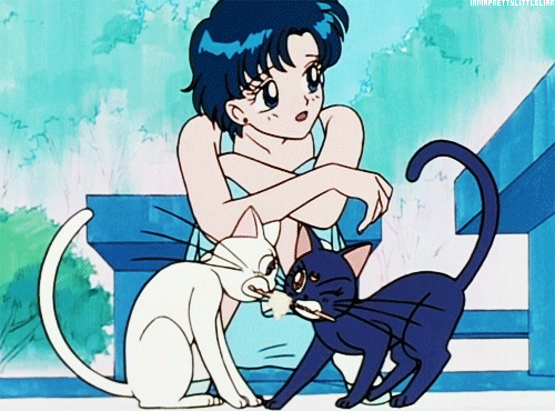 세일러문이 만약 걸그룹이라면 누가 가장 인기 많을까.JPG | 인스티즈