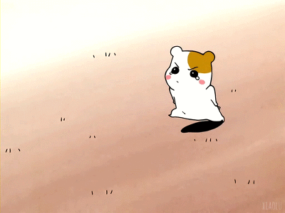 똥꼬에게 사과정도는 해라 | 인스티즈