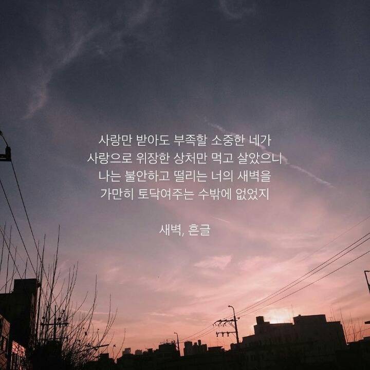 덕질하며 내새끼들에게 해주고싶은 말.글귀 털이 | 인스티즈