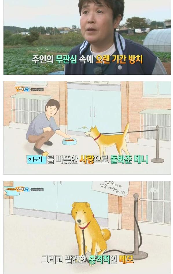 [신화방송] 상처 많은 유기견이 마음 여는 모습이 인상적이었던 방송 | 인스티즈