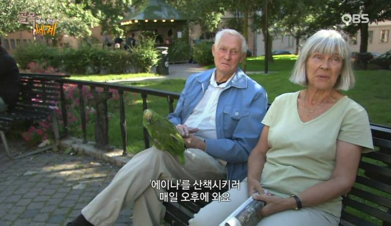 스웨덴 사람들의 평범한 일상 (개지루함 주의......) | 인스티즈