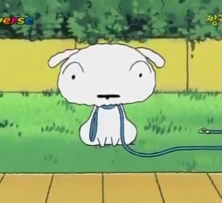 짱구등장인물중 가장 불쌍한 인물은? | 인스티즈