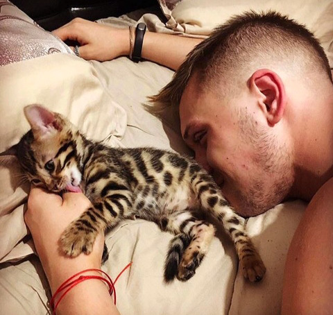 뱅갈 냥이🐱 | 인스티즈