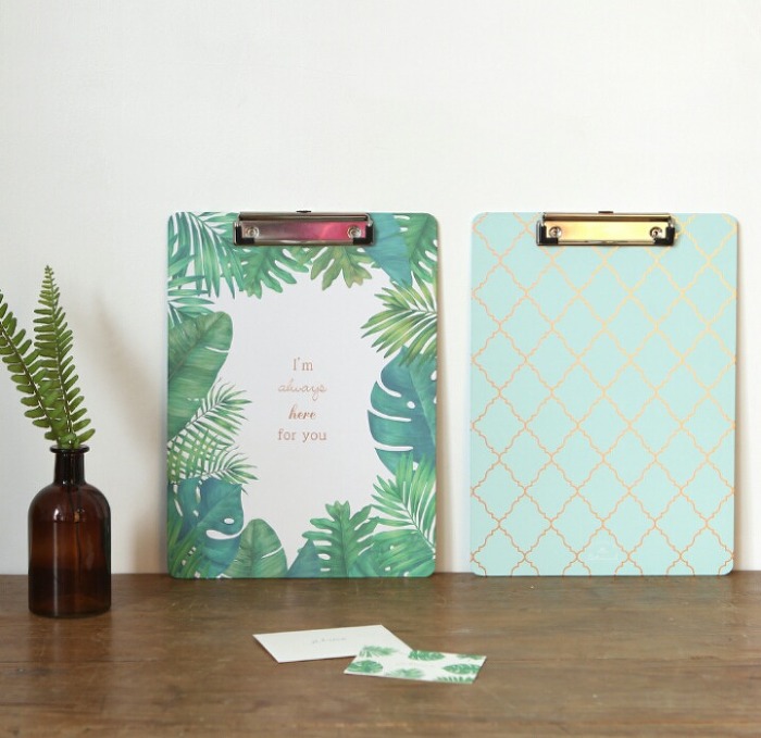 다이소 보태니컬 시리즈 | 인스티즈