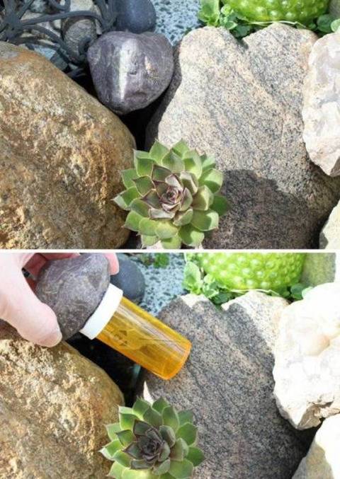 외국 남편들의 비상금 숨기기 | 인스티즈