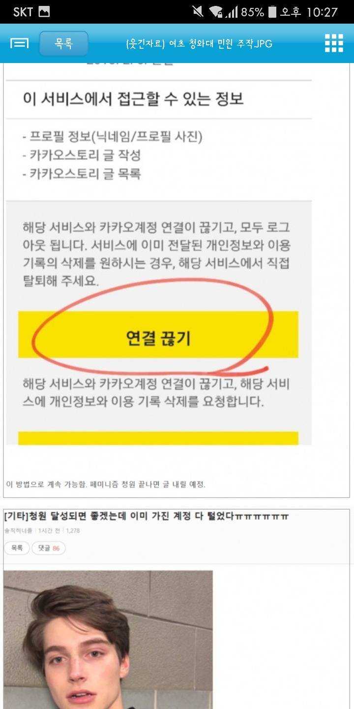 여초카페 청와대 민원 주작 - 인스티즈(instiz) 이슈 카테고리