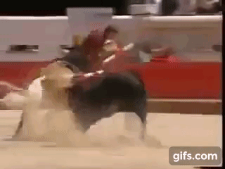 300억 이상의 명마(名馬).gif | 인스티즈