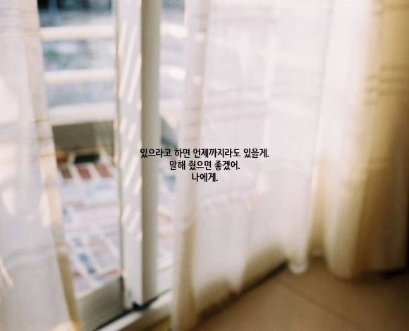 덕질하며 내새끼들에게 해주고싶은 말.글귀 털이 | 인스티즈