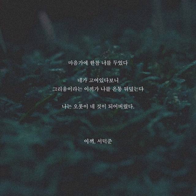 해는 다 졌고 꽃도 저물었고 하루가 죽었고 마음의 지평선 위로 별이 총총 눈을 떴고 달은 튕겨오르고 | 인스티즈