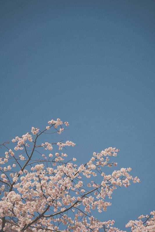 스냅사진 위주의 유치진지한 여행기 - 오사카&교토 (1) | 인스티즈