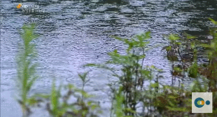 신기한 식물들 ((gif 많음 주의)) | 인스티즈