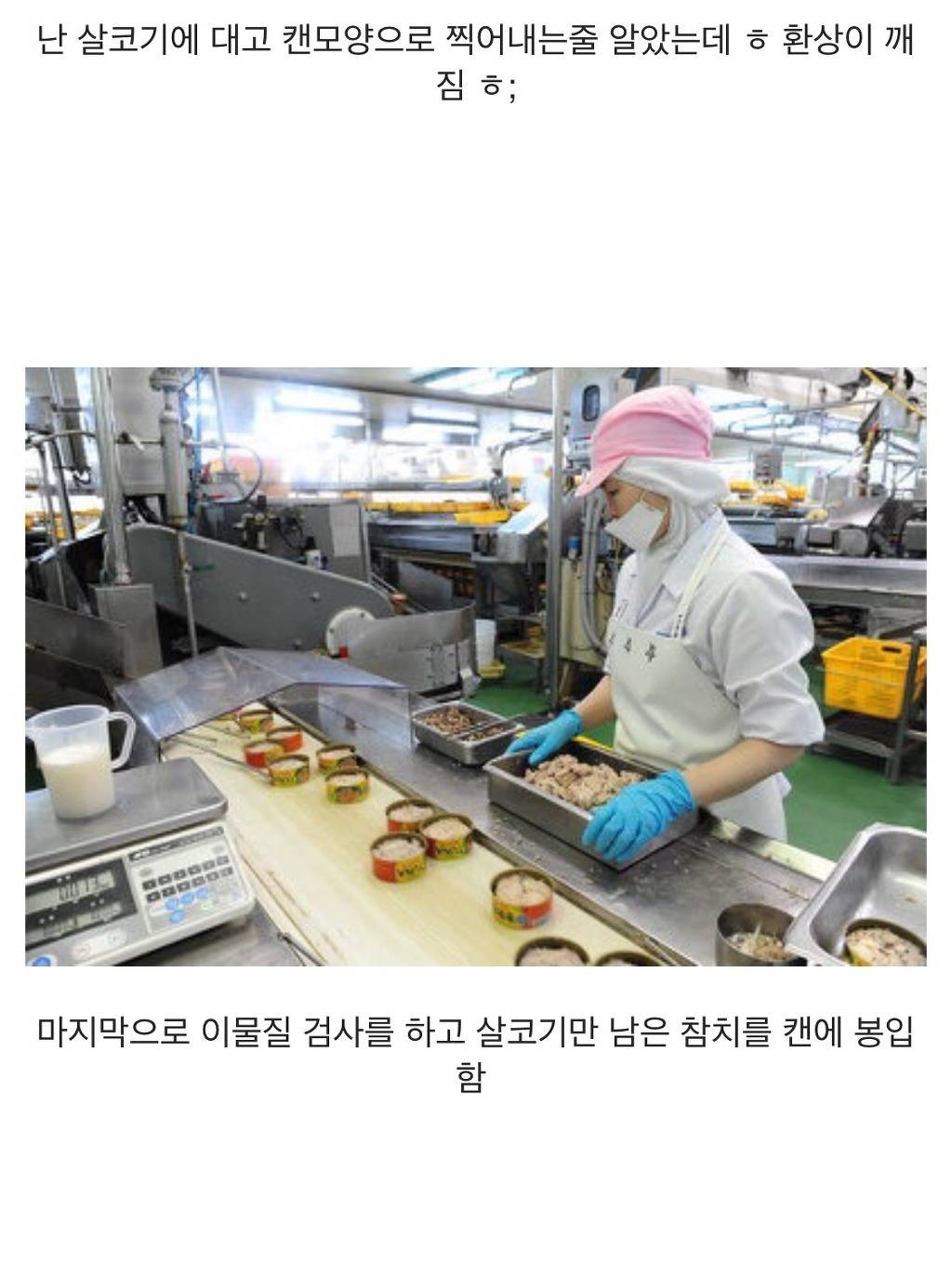참치캔이 만들어지는 과정 | 인스티즈