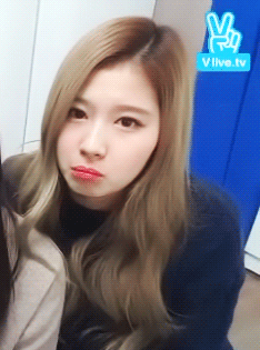 귀여운 강아지같은 사나 .gif | 인스티즈