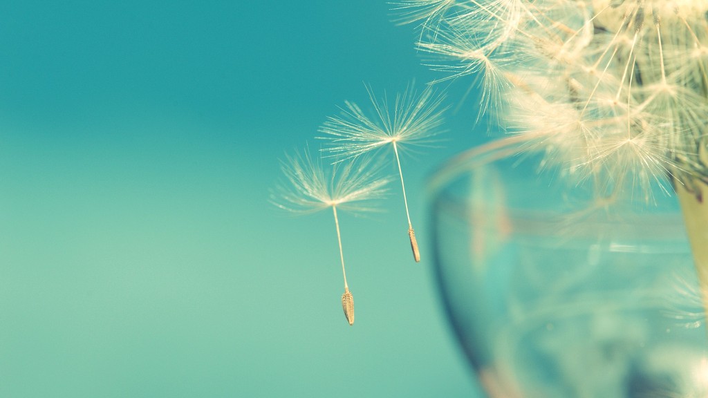 바람이 느껴지는 사진.jpg | 인스티즈