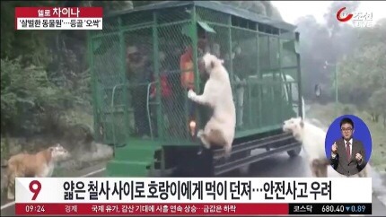 중국,인도네시아,북한의 동물원 (혐오주의) | 인스티즈