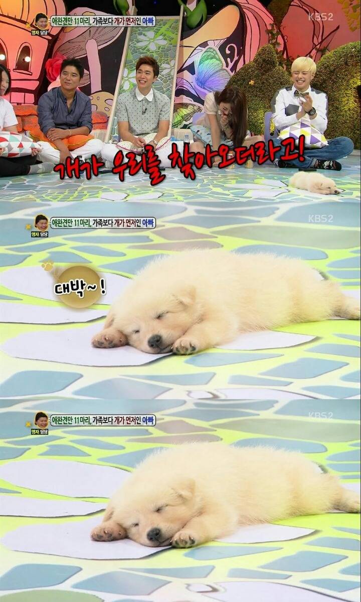 방송녹화 도중에 잠들어버리는 게스트.jpg (안녕하세요) | 인스티즈