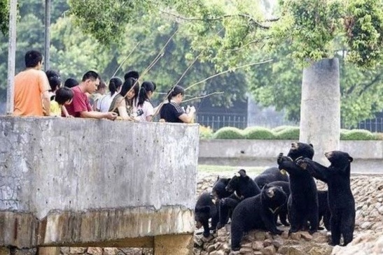 중국,인도네시아,북한의 동물원 (혐오주의) | 인스티즈