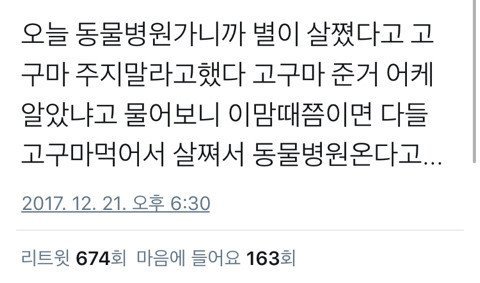 댕댕이 고구마 먹는시즌.JPG | 인스티즈