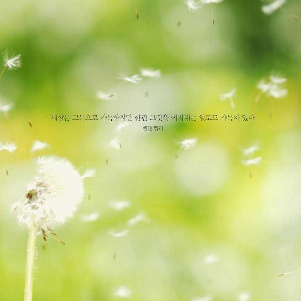 좋은글+핸드폰 배경화면 | 인스티즈