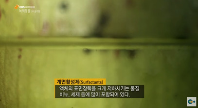 신기한 식물들 ((gif 많음 주의)) | 인스티즈