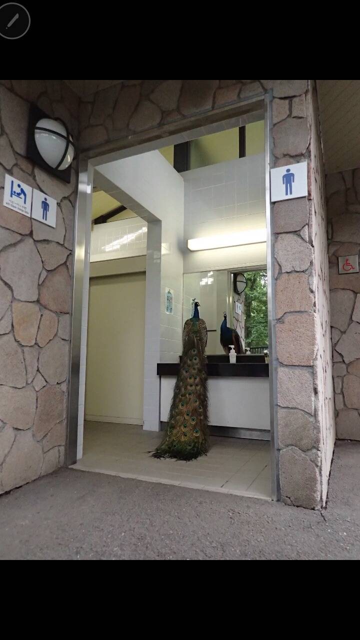 트위터 이것저것 드립 모음 (feat.의정부고 바니걸) | 인스티즈