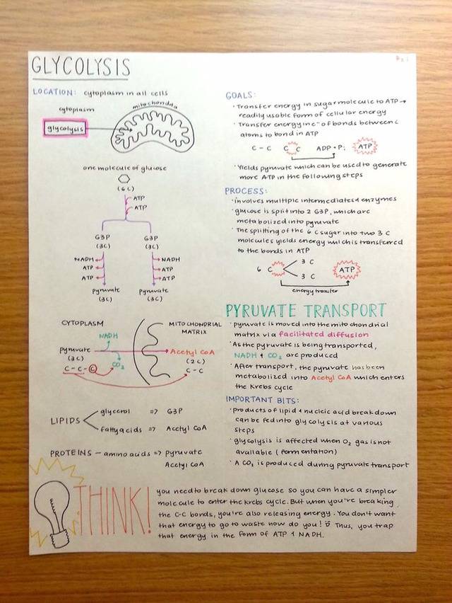 공부 자극 사진 (과학 관련) jpg | 인스티즈