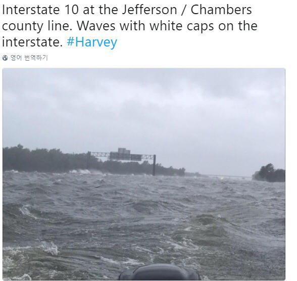 바다가 된 미국 텍사스.jpg | 인스티즈