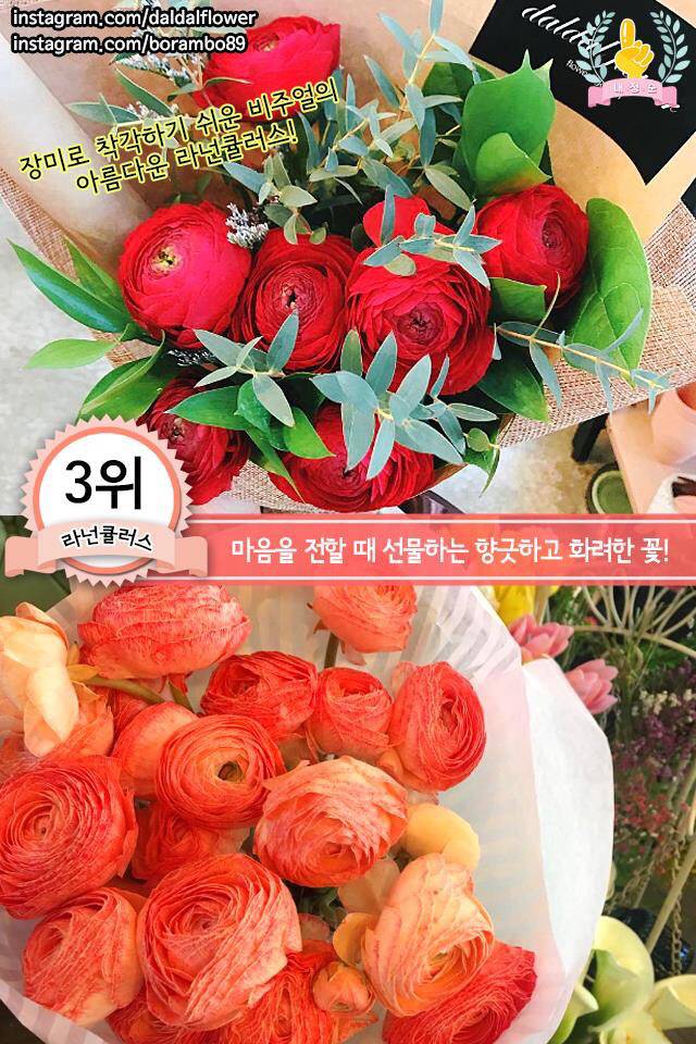 여자친구를 위한 봄 꽃다발 BEST | 인스티즈