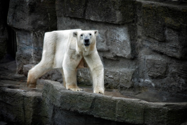 무시무시한 네모네모 멈뭄미믜 저주.. | 인스티즈