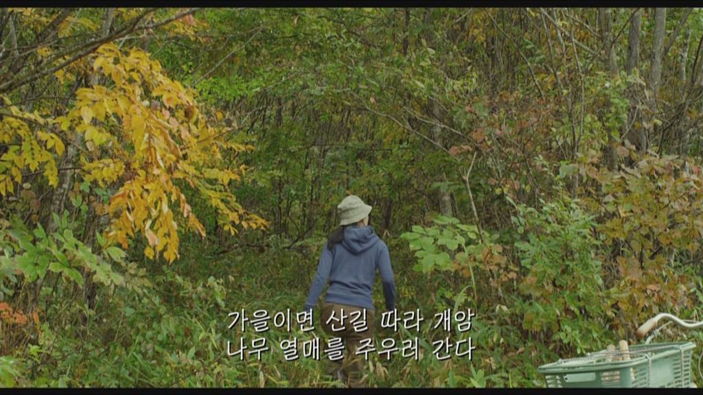 영화＜리틀 포레스트＞夏 4-2 | 인스티즈