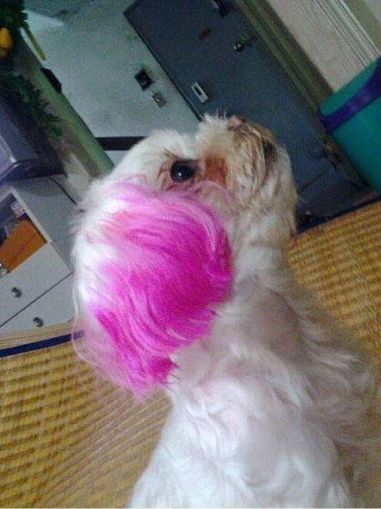 동네에 한명씩은 있는 양아치 스타일 여자 | 인스티즈