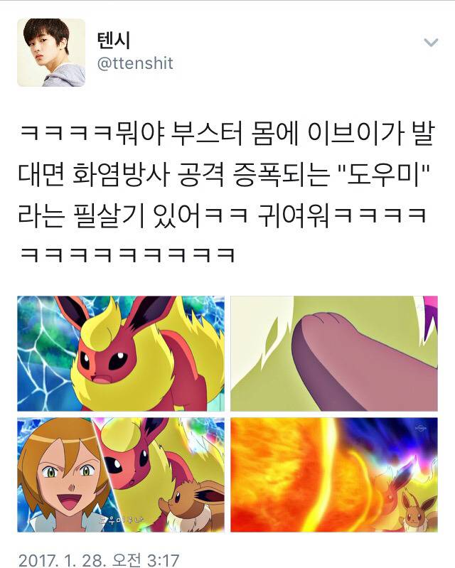 [포켓몬] 부스터가 필살기 쓰는법 (feat. 이브이) | 인스티즈