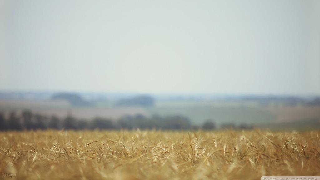 바람이 느껴지는 사진.jpg | 인스티즈