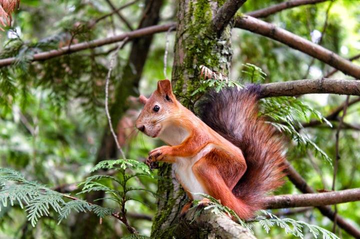 무시무시한 네모네모 멈뭄미믜 저주.. | 인스티즈