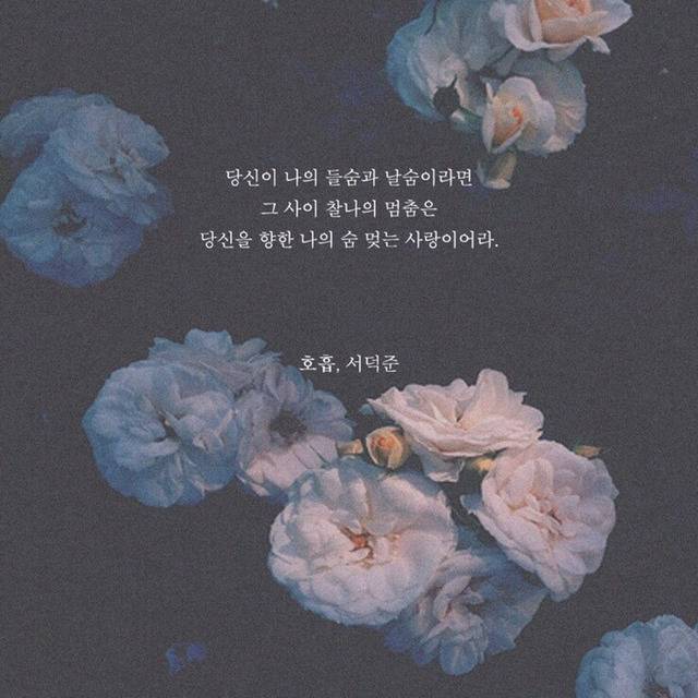 해는 다 졌고 꽃도 저물었고 하루가 죽었고 마음의 지평선 위로 별이 총총 눈을 떴고 달은 튕겨오르고 | 인스티즈