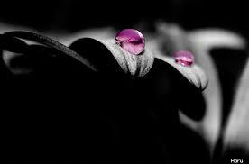 어쩌자고 나는 당신을 사랑한 겁니까 | 인스티즈