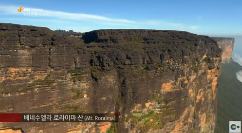 신기한 식물들 ((gif 많음 주의)) | 인스티즈