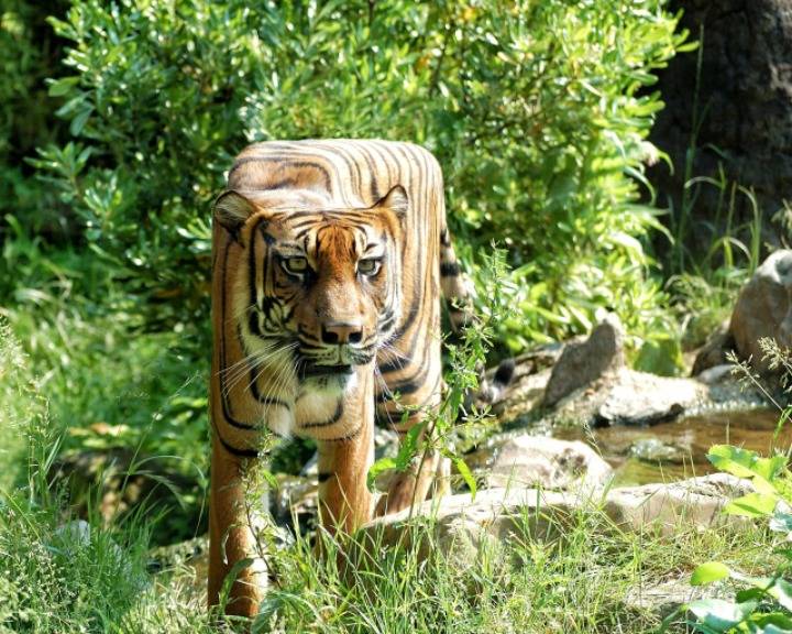 무시무시한 네모네모 멈뭄미믜 저주.. | 인스티즈