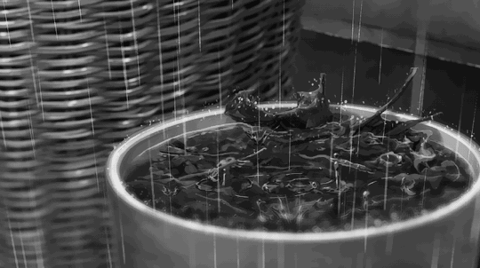 애니메이션 배경위주 gifs | 인스티즈