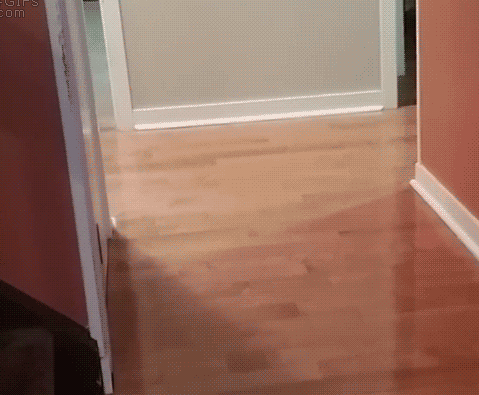 동말생기 동갤 또또또 다시 털.yg(이것은 jpgjyp에서 jyp가 3대 소속사라는 것에 착안한 유우머로 sm과 jyp는 이미 사용하였다) | 인스티즈