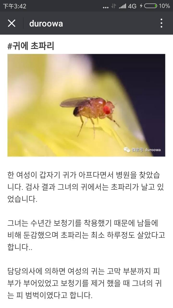 몸에서 나온 생명체들 (혐오주의) | 인스티즈